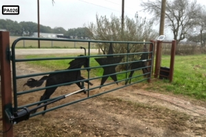 Custom designed horse and stars on gate- PA026