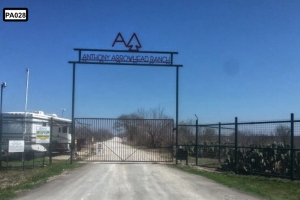 Custom built metal gate- PA028