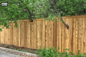 1x4x6 ft Western Red Cedar Fence with Cedar Cap and Cedar Trim Boxing around trees