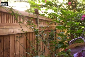 Website- W023 Website- W023